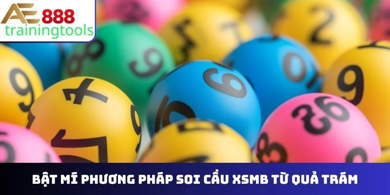 Bật mí phương pháp soi cầu XSMB từ quả trám